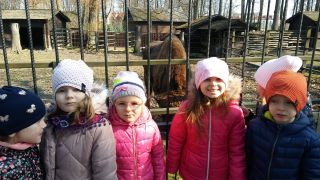 ilustracja do wpisu 
PUCHATKI - wycieczka do ZOO